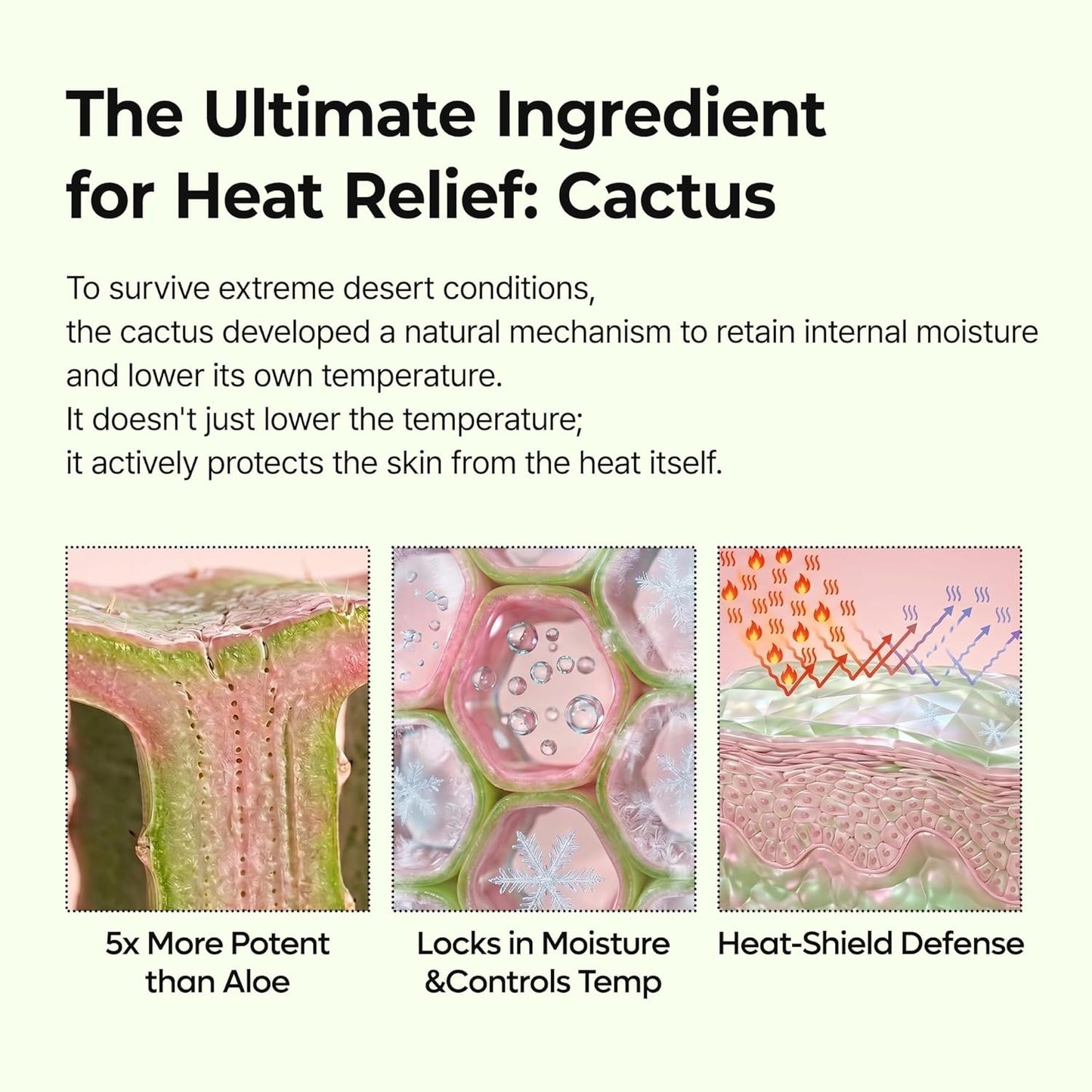 Instant Cooling Pore-Refining Multi-Balm