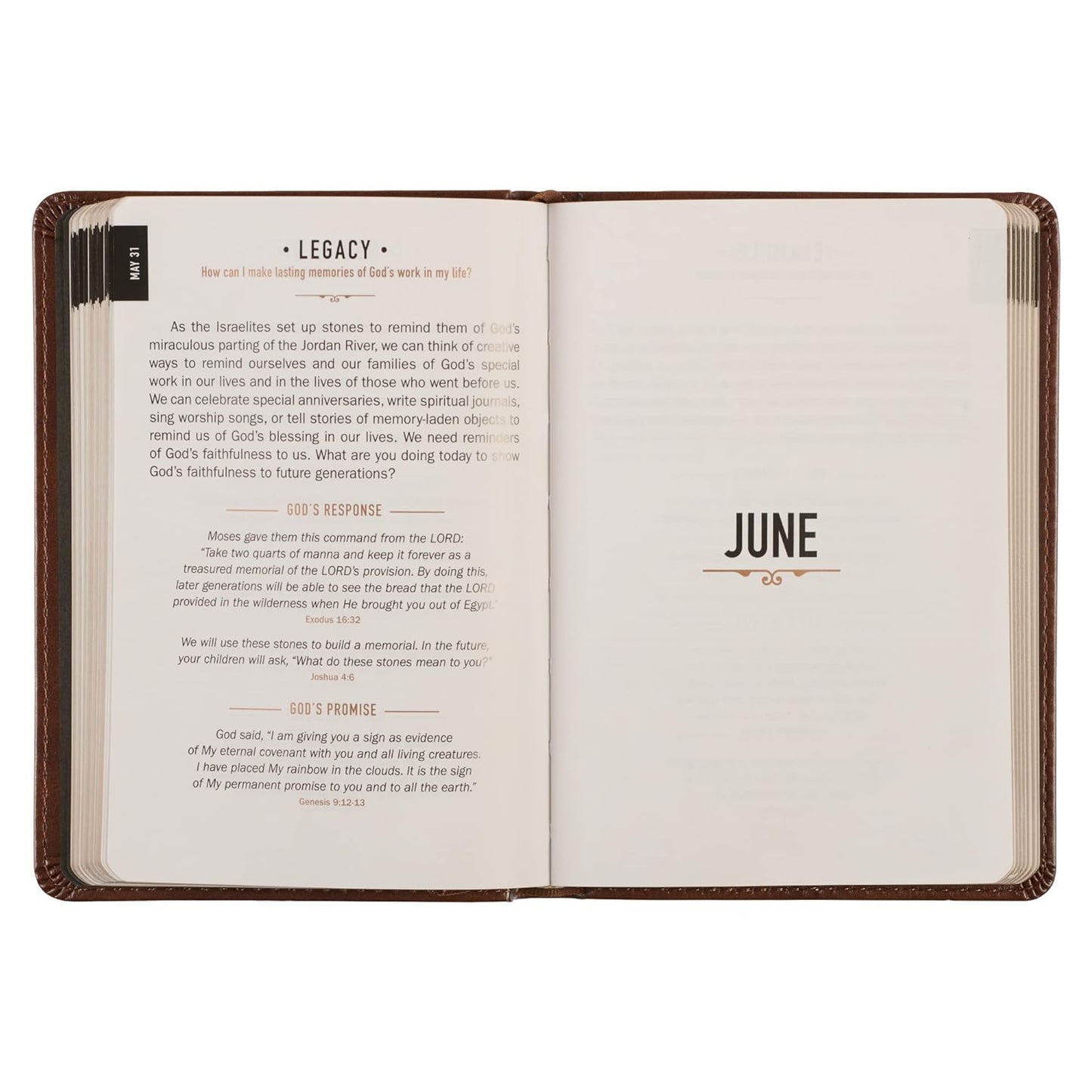 Reclaim Inner Peace Every Day With 365-Day Guided Devotional Journal