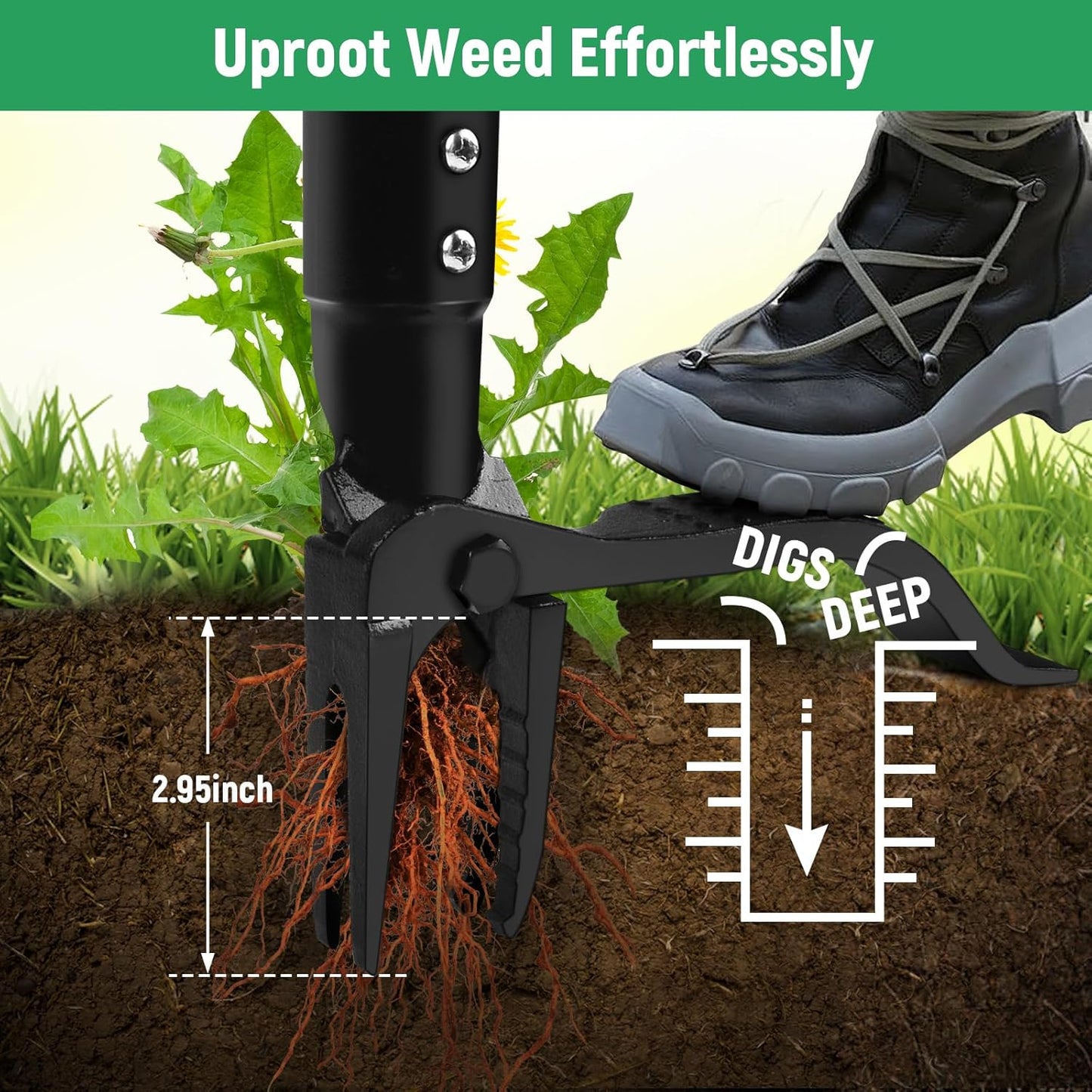 Professional Weeding Without The Backache — Effortless Garden Care Starts Here
