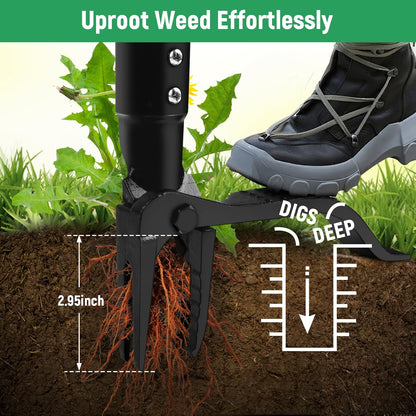 Professional Weeding Without The Backache — Effortless Garden Care Starts Here