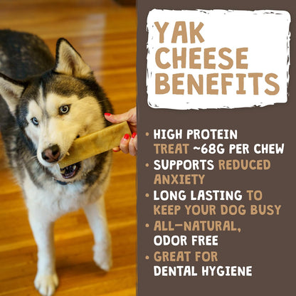 LONG-LASTING CHEWS FOR AGGRESSIVE CHEWERS