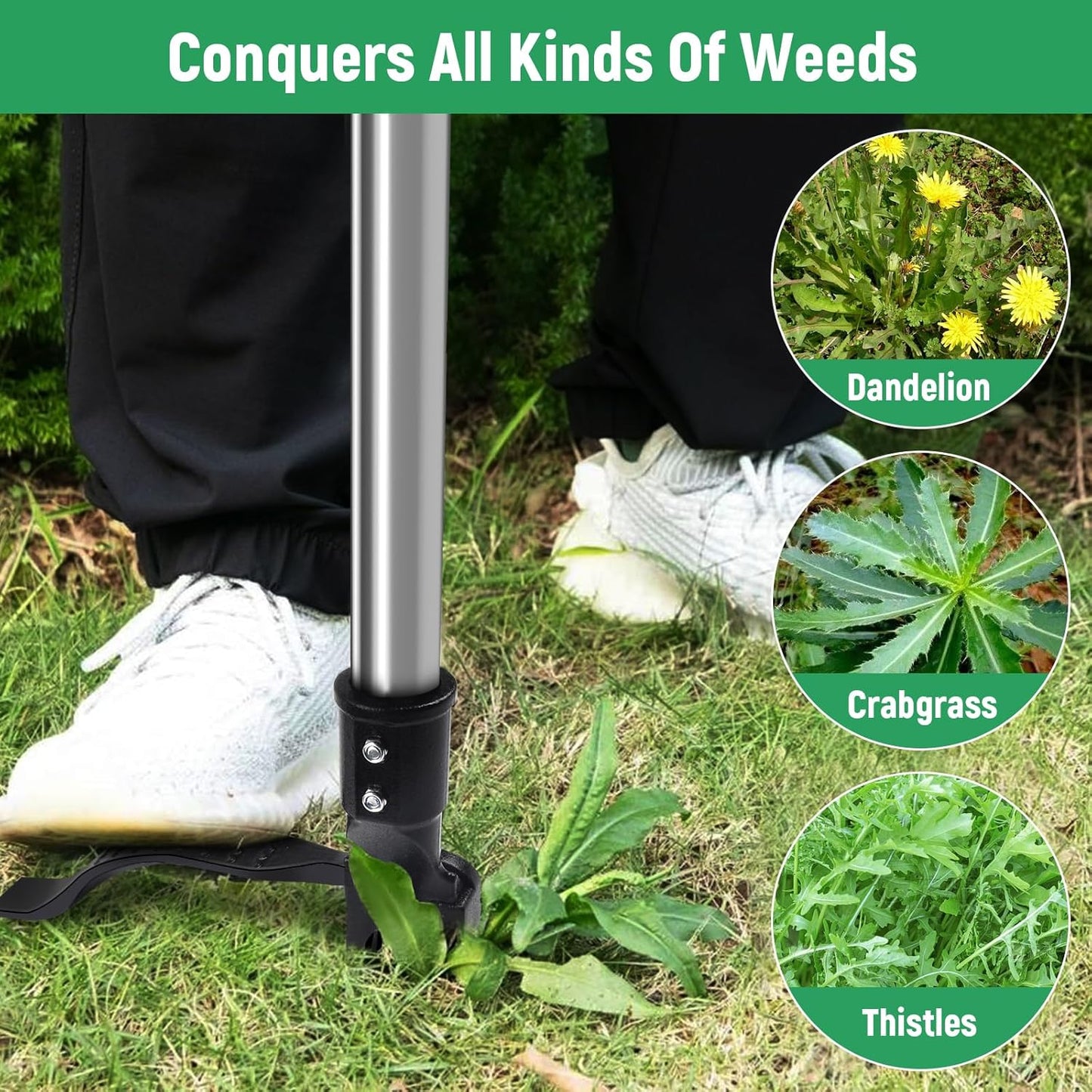 Professional Weeding Without The Backache — Effortless Garden Care Starts Here