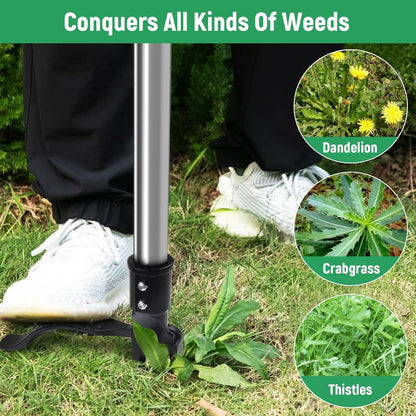 Professional Weeding Without The Backache — Effortless Garden Care Starts Here