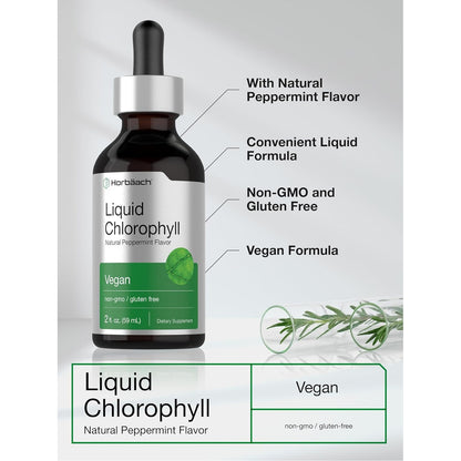 Daily Detox & Freshness In Every Drop