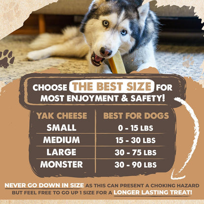 LONG-LASTING CHEWS FOR AGGRESSIVE CHEWERS