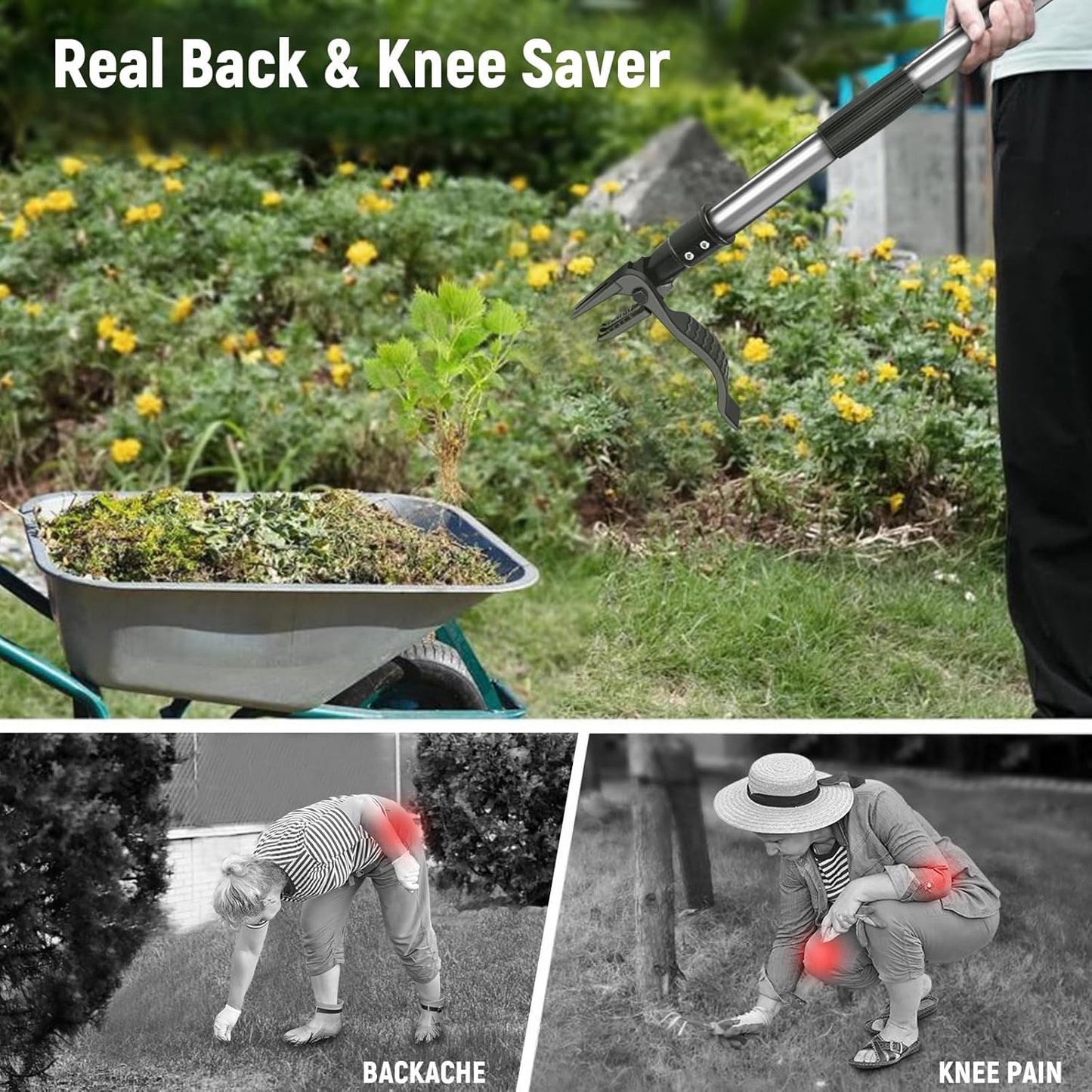 Professional Weeding Without The Backache — Effortless Garden Care Starts Here