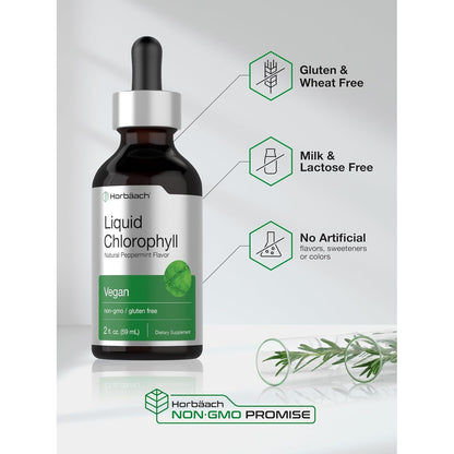 Daily Detox & Freshness In Every Drop