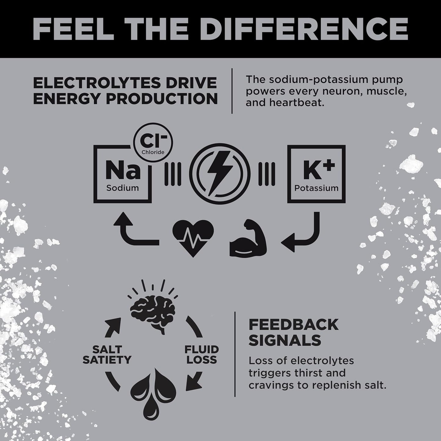 LMNT Zero Sugar Electrolytes - Variety Pack | Drink Mix | Now in a Jumbo 24-Pack