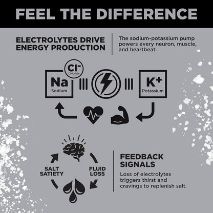 LMNT Zero Sugar Electrolytes - Variety Pack | Drink Mix | Now in a Jumbo 24-Pack