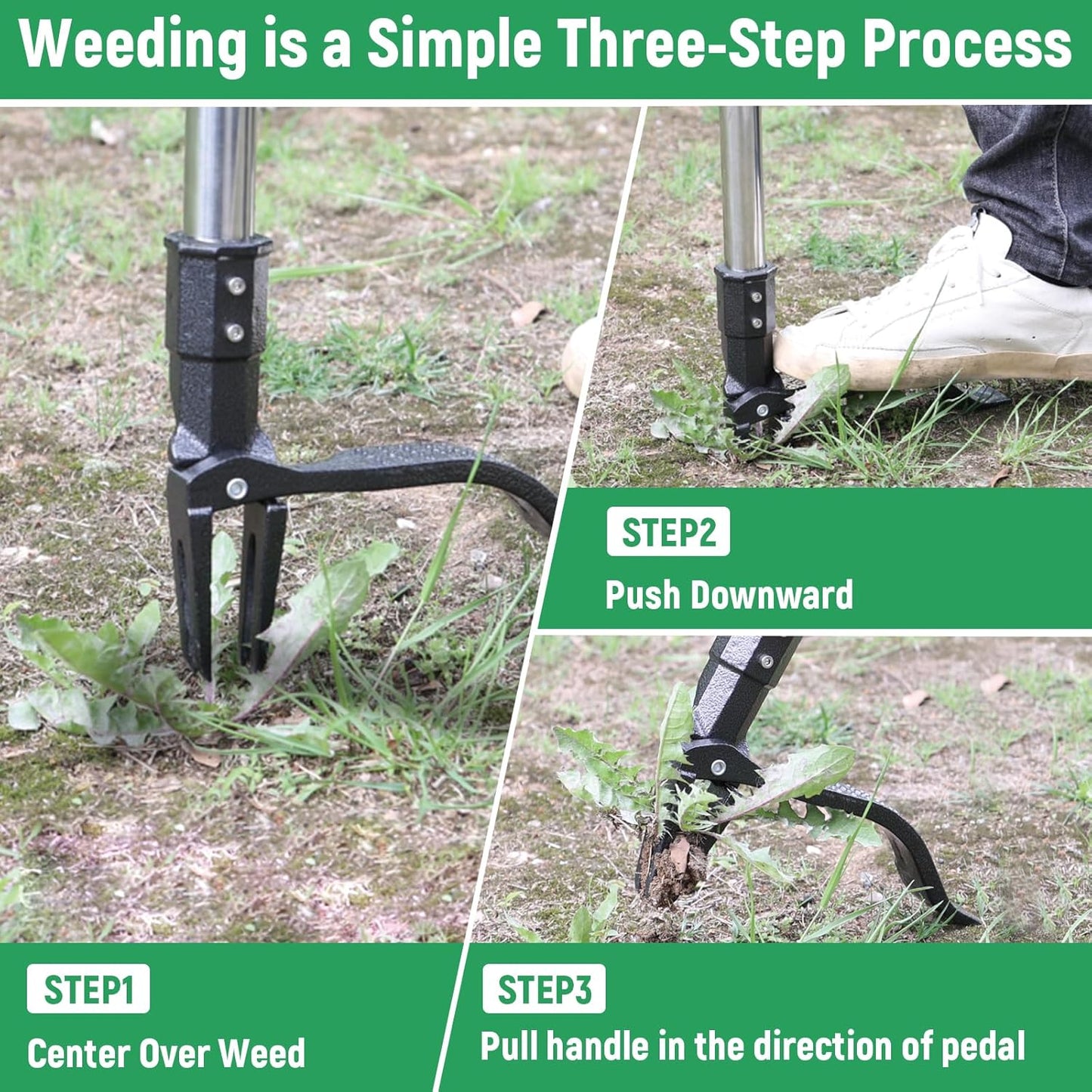 Professional Weeding Without The Backache — Effortless Garden Care Starts Here