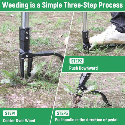Professional Weeding Without The Backache — Effortless Garden Care Starts Here