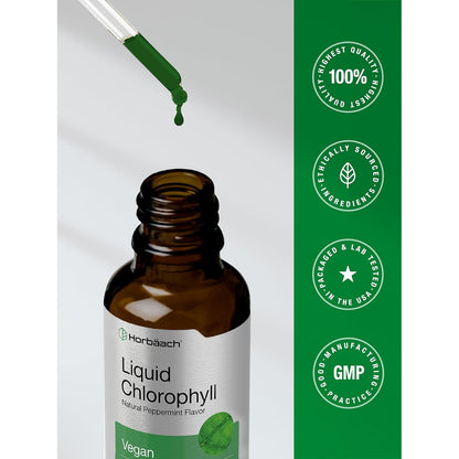Daily Detox & Freshness In Every Drop