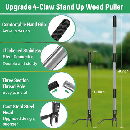 Professional Weeding Without The Backache — Effortless Garden Care Starts Here