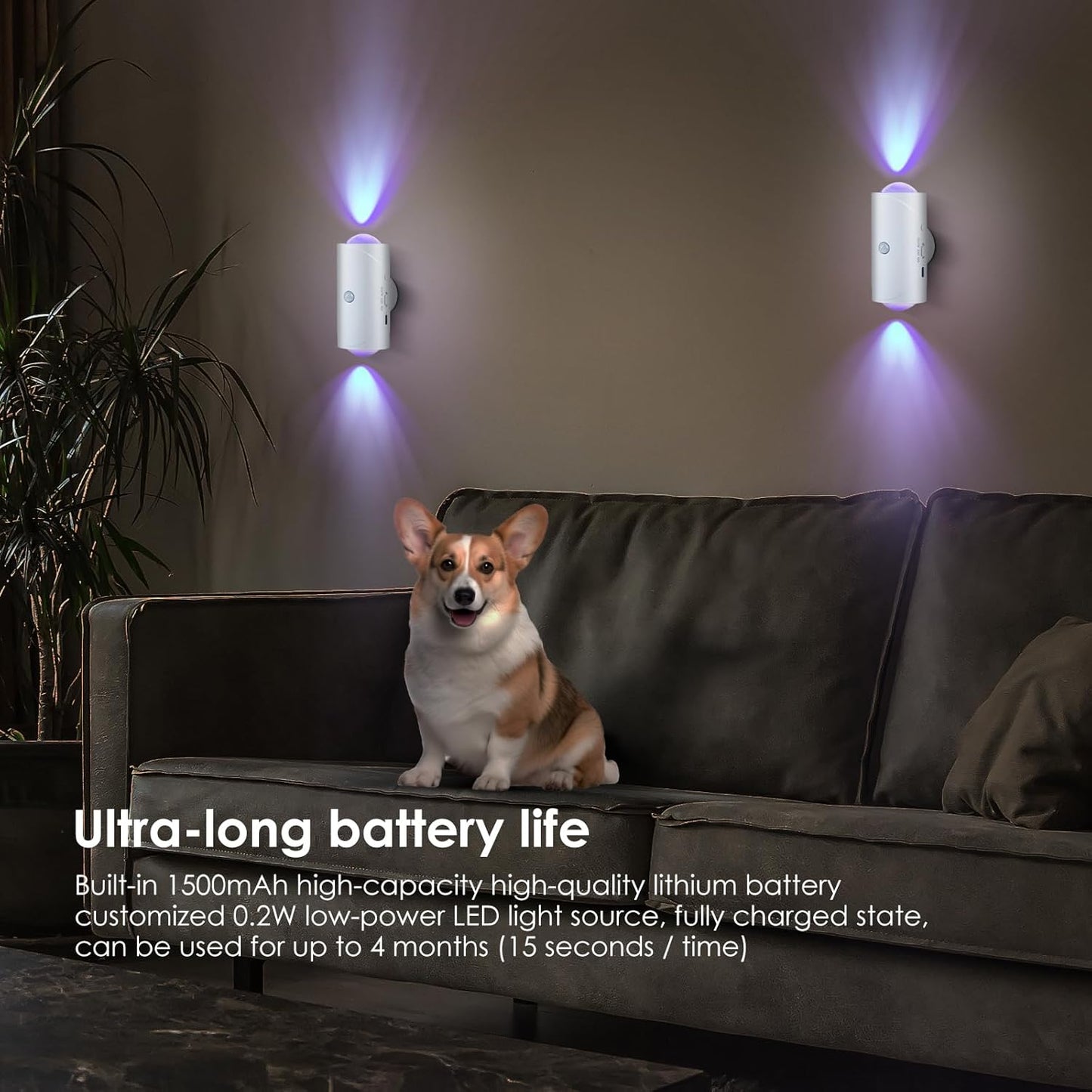 Light Up Your Space Smartly—No Wires, No Drilling!