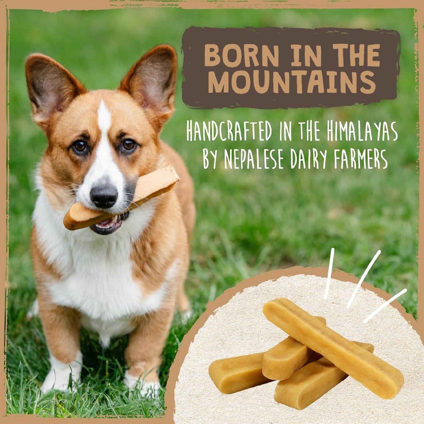 LONG-LASTING CHEWS FOR AGGRESSIVE CHEWERS