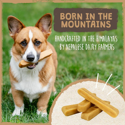 LONG-LASTING CHEWS FOR AGGRESSIVE CHEWERS
