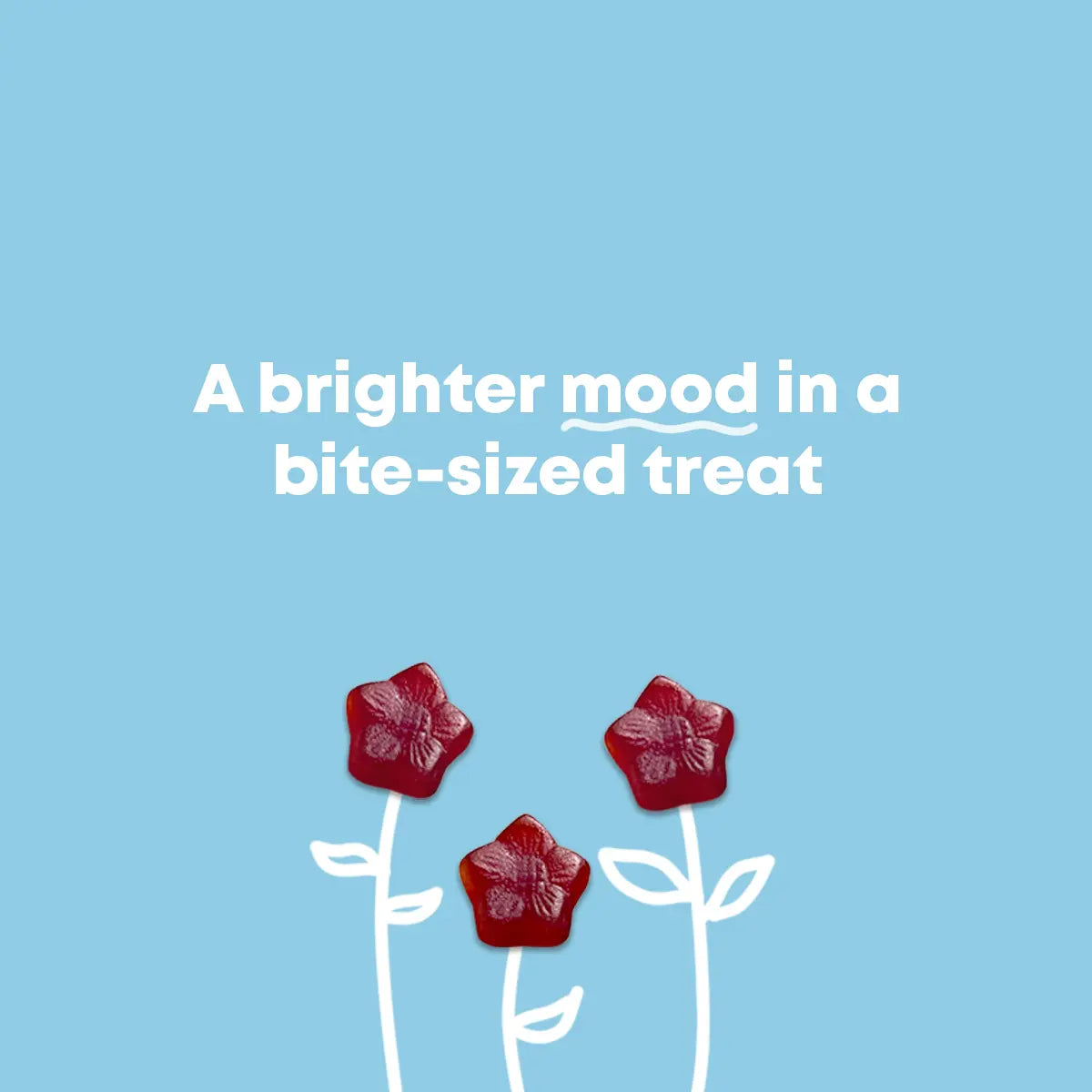 Happy Minds, Calmer Days