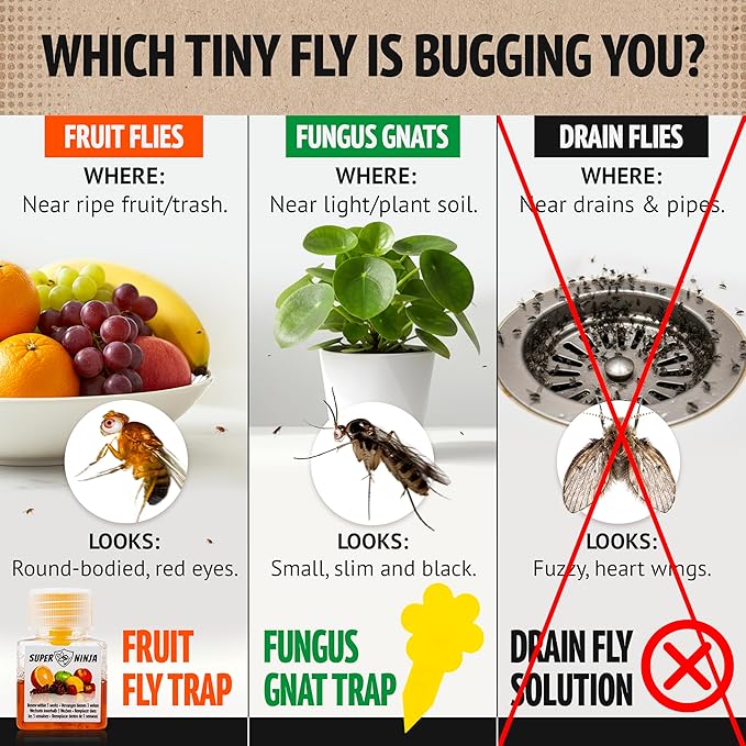 Eco-Friendly Fruit Fly & Gnat Trap – Catches 90%+ in 24 Hours