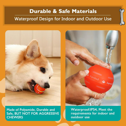 Smart Active Rolling & Bouncing Ball Toy for Dogs | Interactive Dog Toys Dog Ball